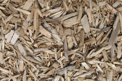 biomass boilers Lidlington